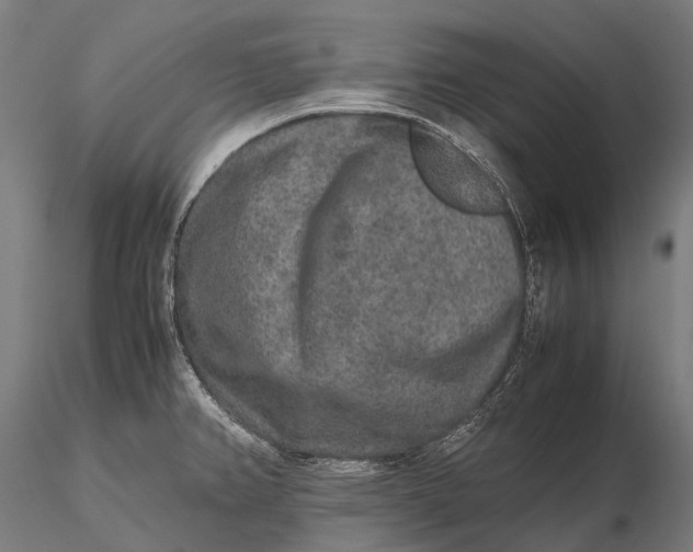 X0000115601382200912011516