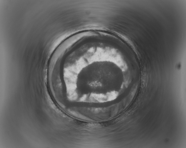 X0000115601383200912011516