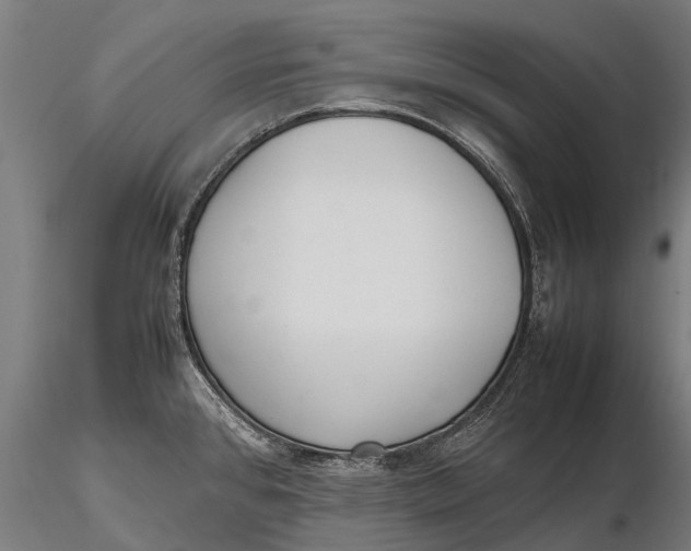 X0000115601384200912011516