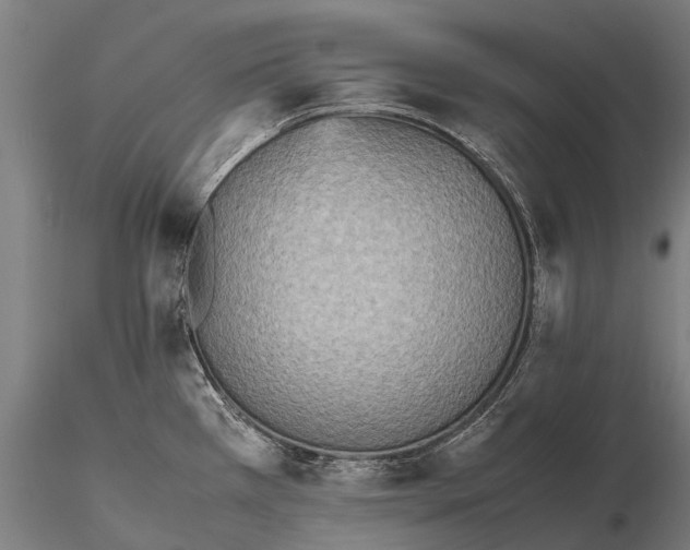 X0000115601385200912011516