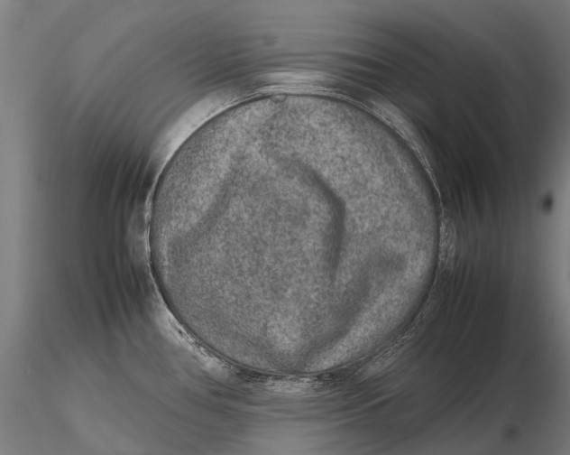 X0000115601386200912011516