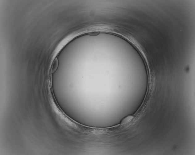 X0000115601389200912011516