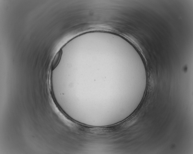 X0000115601391200912011516