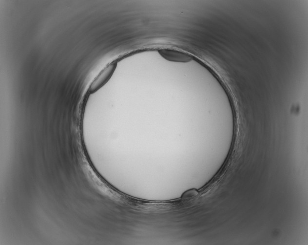 X0000115601392200912011516