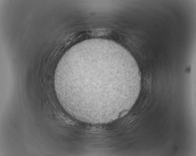 X0000115601393200912011516