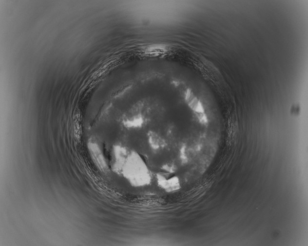 X0000115601394200912011516