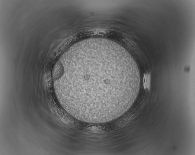 X0000115601395200912011516