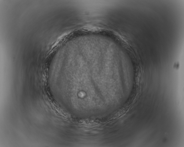 X0000115601397200912011516