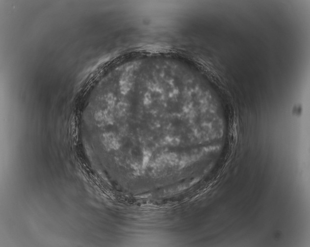 X0000115601398200912011516