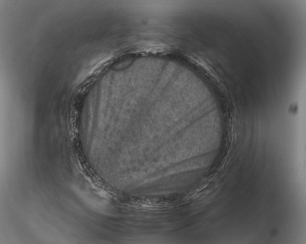 X0000115601399200912011516