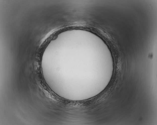 X0000115601400200912011516