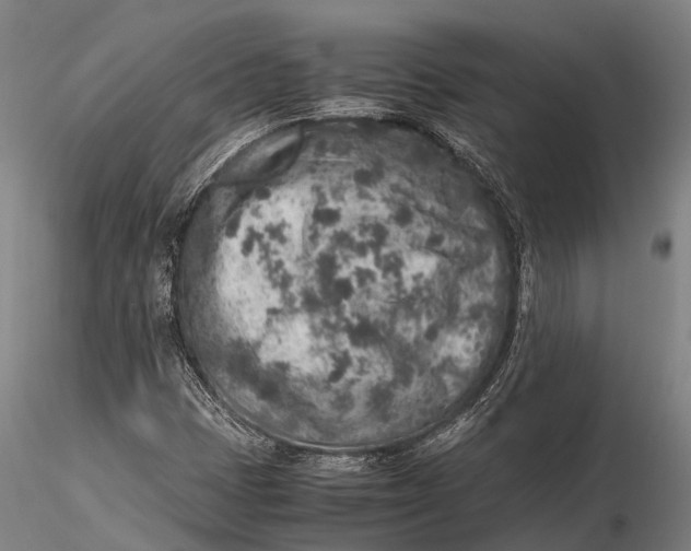 X0000115601401200912011516