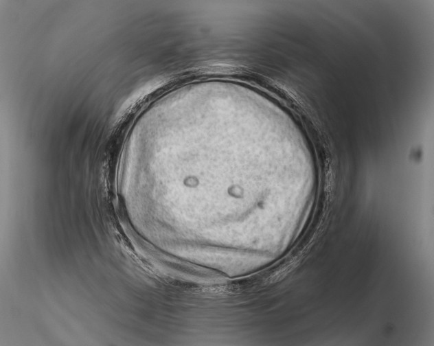 X0000115601402200912011516