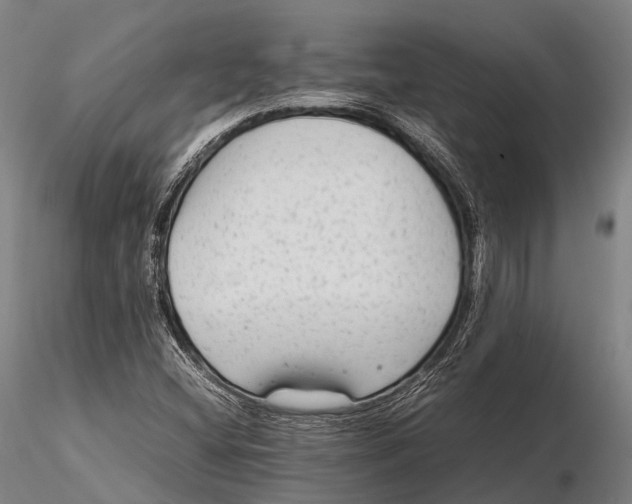 X0000115601404200912011516