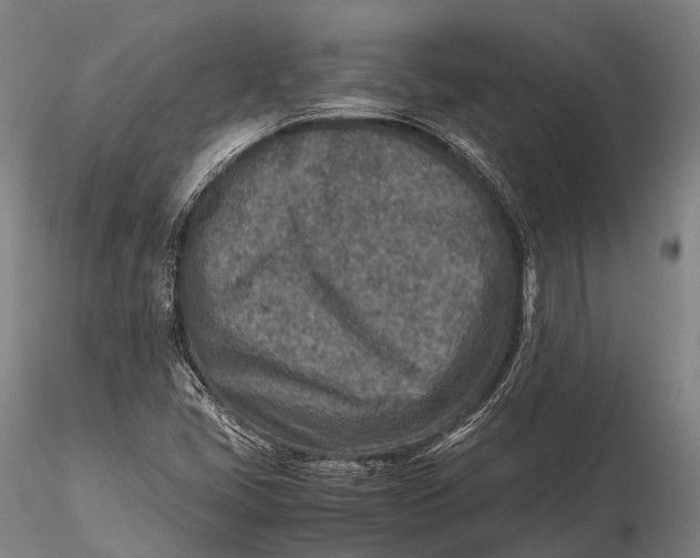 X0000115601405200912011516