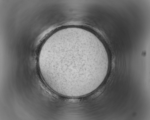 X0000115601406200912011516