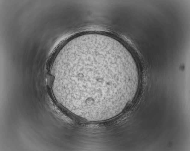 X0000115601408200912011516