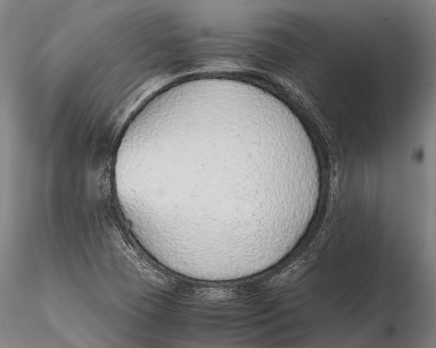 X0000115601409200912011516