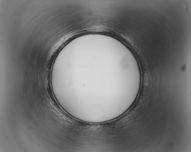 X0000115601410200912011516