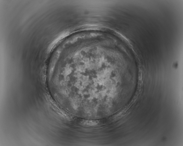 X0000115601411200912011516