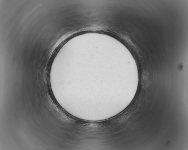 X0000115601412200912011516