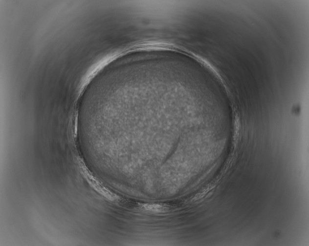 X0000115601413200912011516