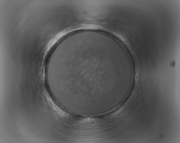 X0000115601414200912011516