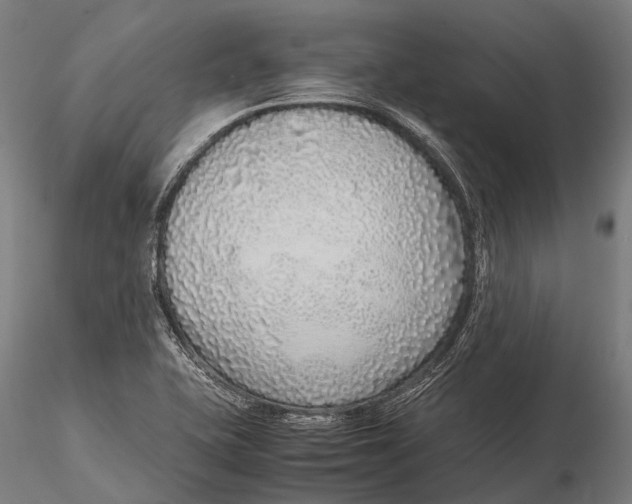 X0000115601415200912011516