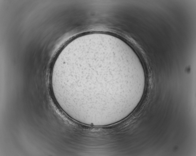 X0000115601416200912011516