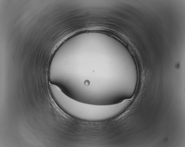 X0000115601417200912011516