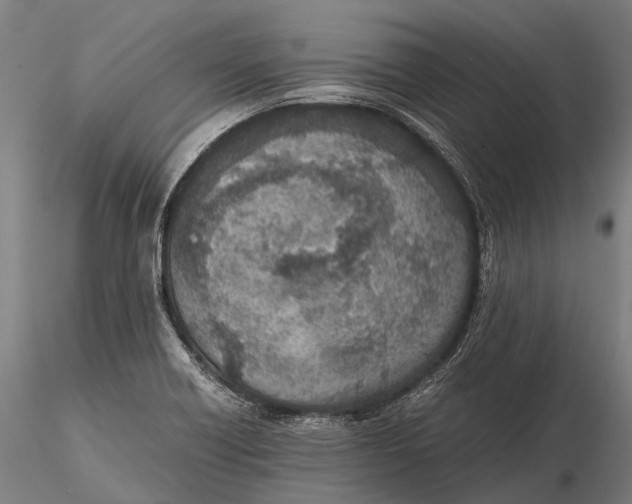 X0000115601418200912011516