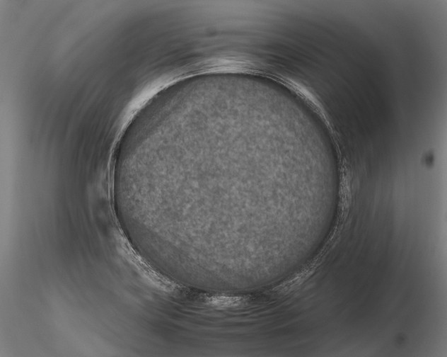 X0000115601419200912011516