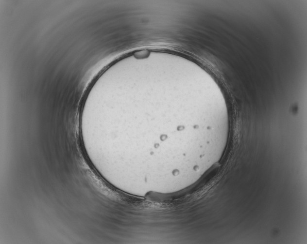 X0000115601420200912011516