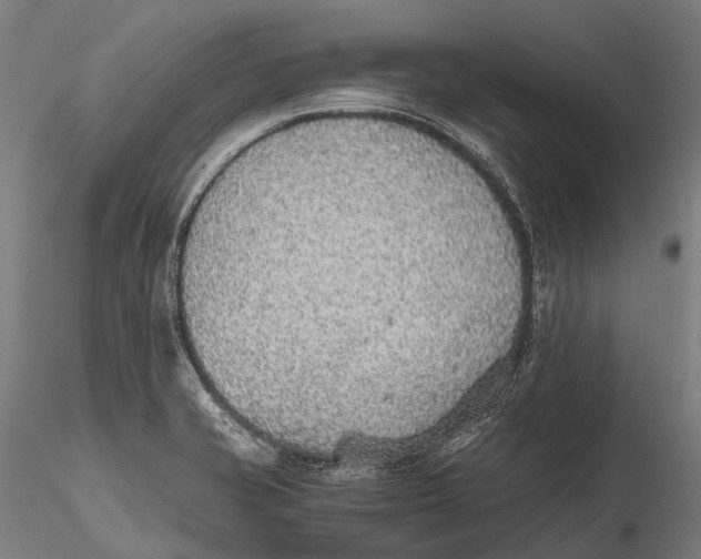 X0000115601421200912011516