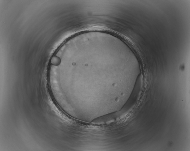 X0000115601422200912011516