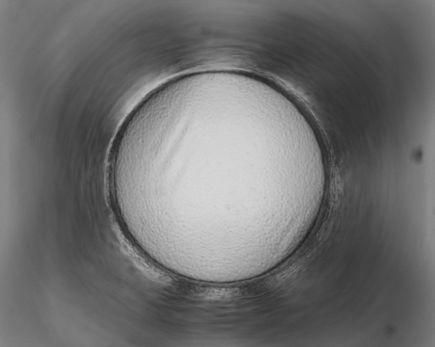 X0000115601423200912011516