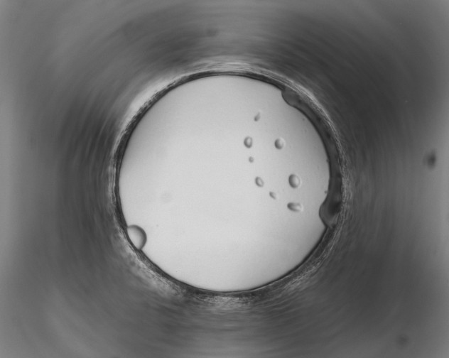 X0000115601424200912011516