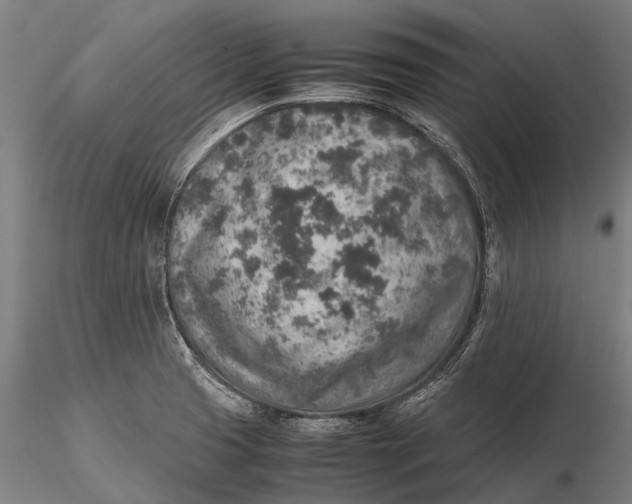 X0000115601425200912011516