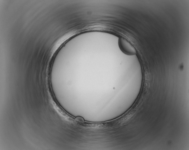 X0000115601426200912011516