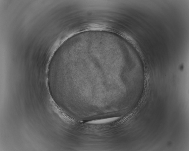 X0000115601427200912011516