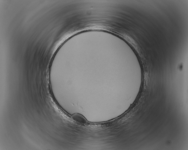 X0000115601428200912011516