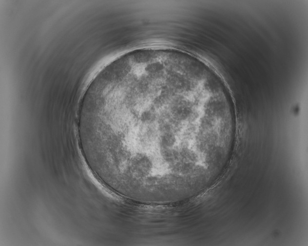 X0000115601429200912011516