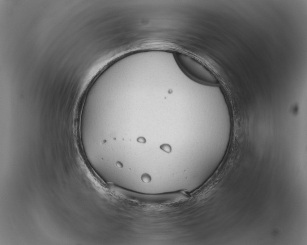 X0000115601430200912011516