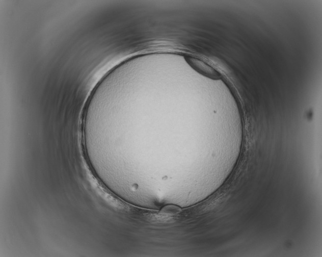 X0000115601431200912011516