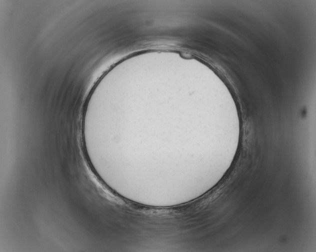 X0000115601432200912011516