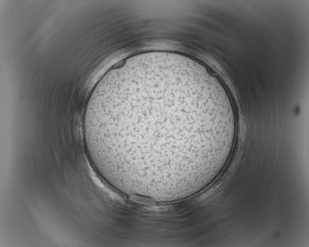 X0000115601433200912011516