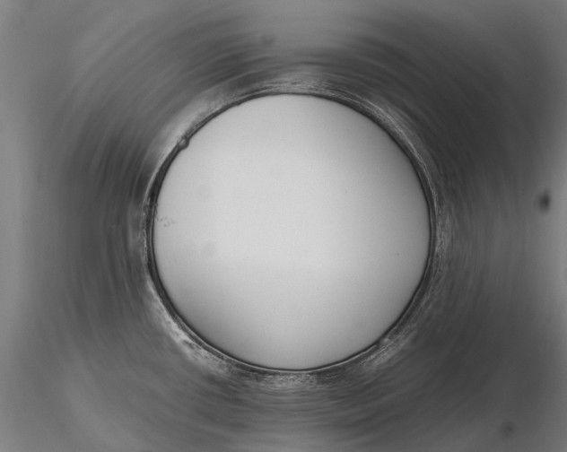 X0000115601434200912011516