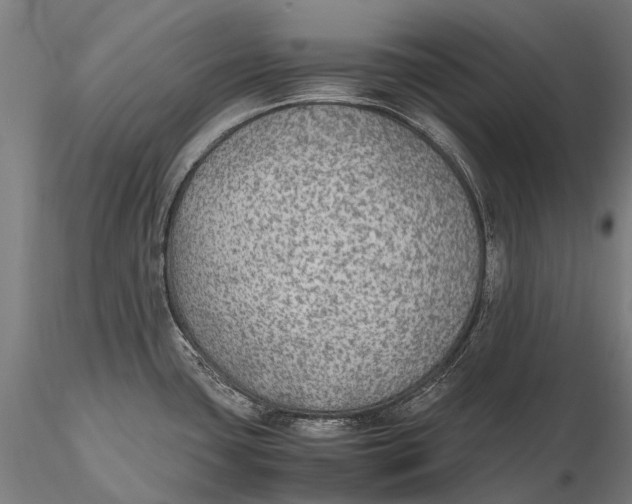 X0000115601435200912011516