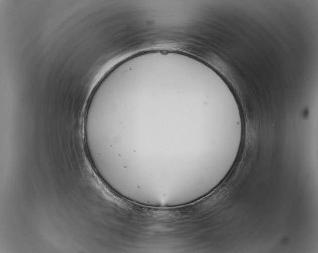 X0000115601436200912011516