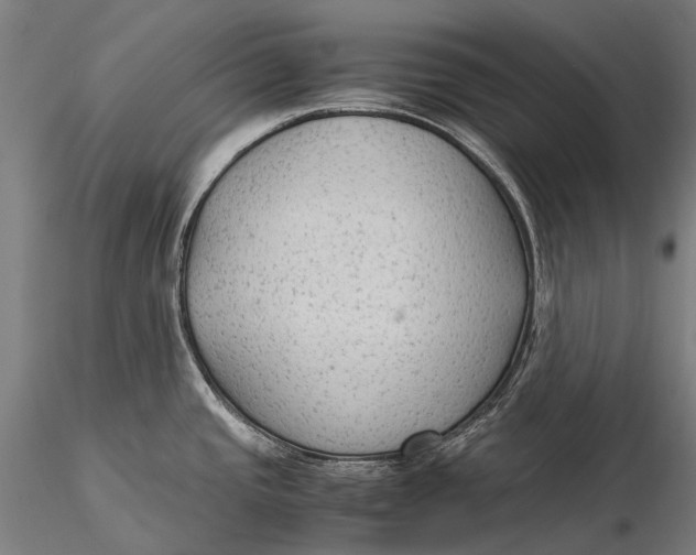 X0000115601437200912011516